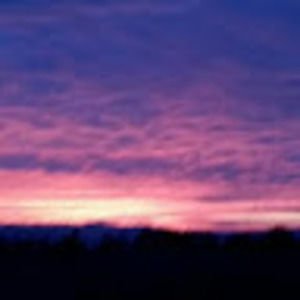 Meet your Posher, Ladahlia